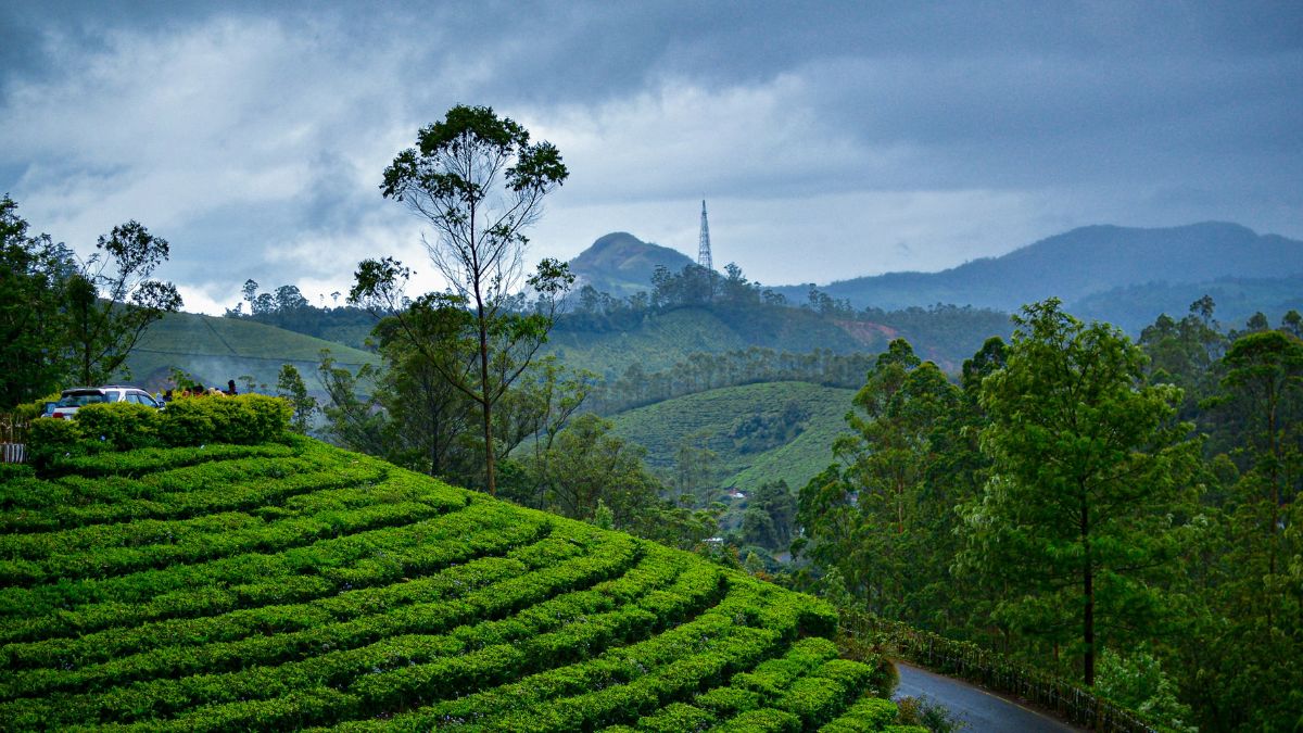 Eravikulam National Park Mist Hills Munnar